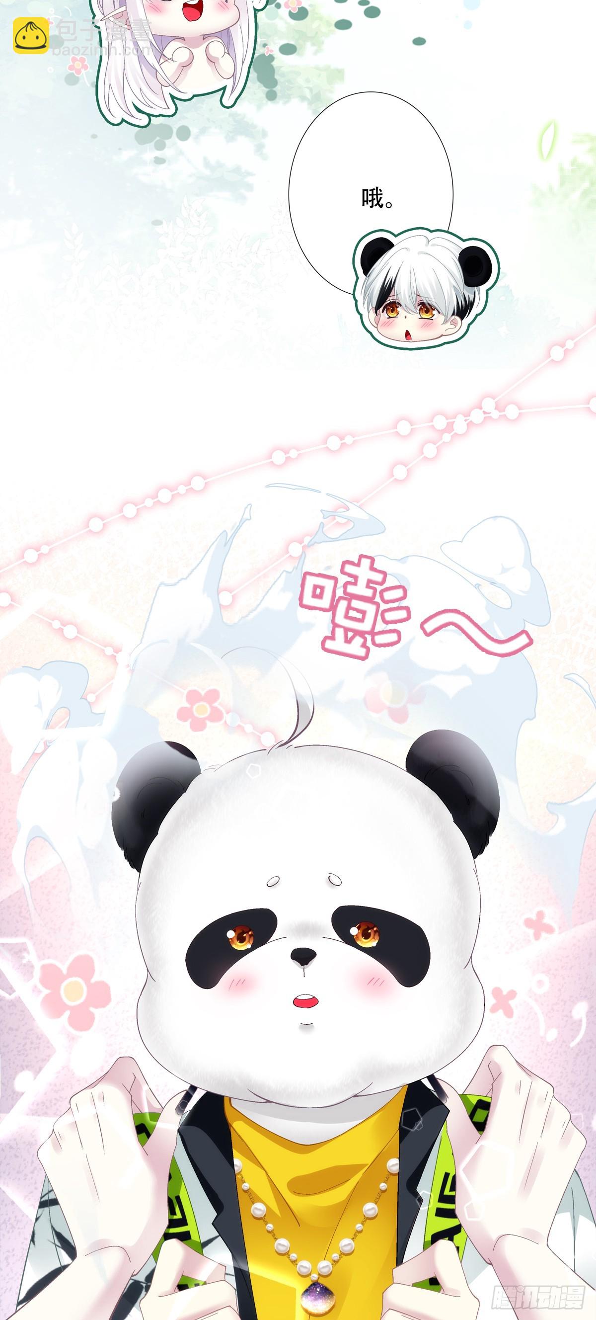 谁的宝宝？！30