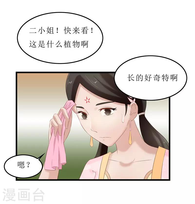 第35话 别碰那朵花！2