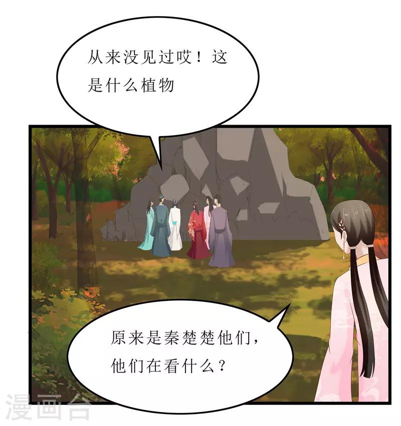 第35话 别碰那朵花！3