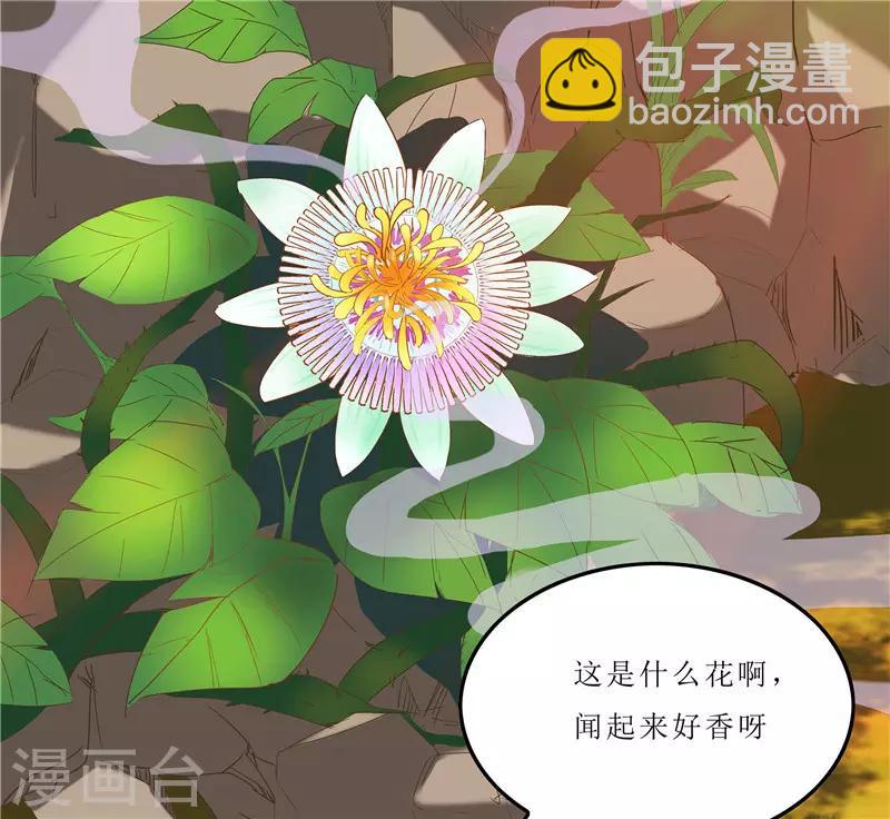 第35话 别碰那朵花！5