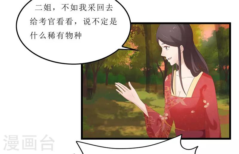 第35话 别碰那朵花！7