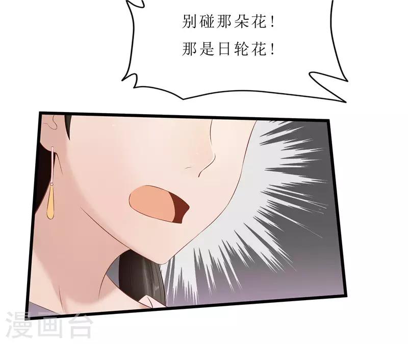 第35话 别碰那朵花！8