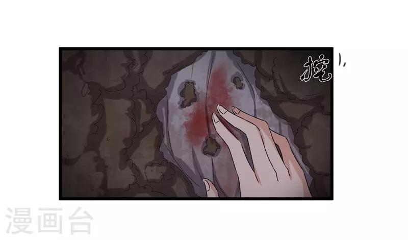 第65话 狸猫换太子17