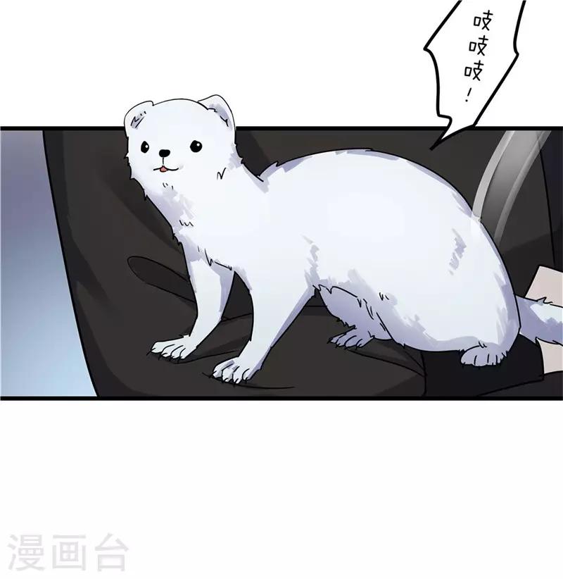 第70话 礼物21