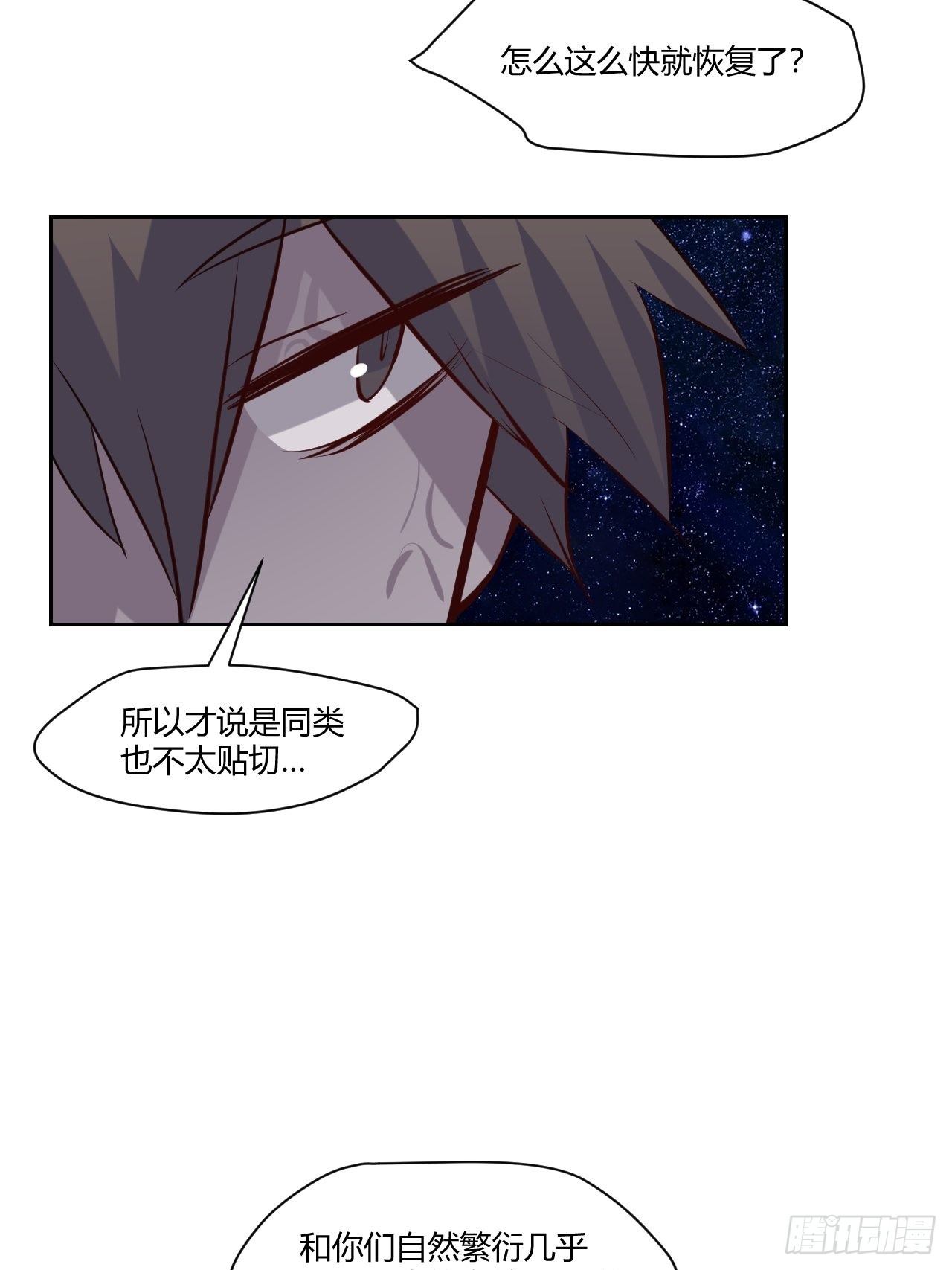 35奢侈的东西13
