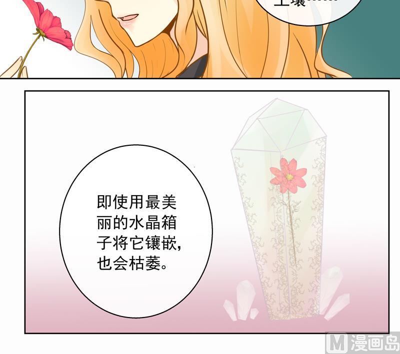 第53回 坑妹高手15