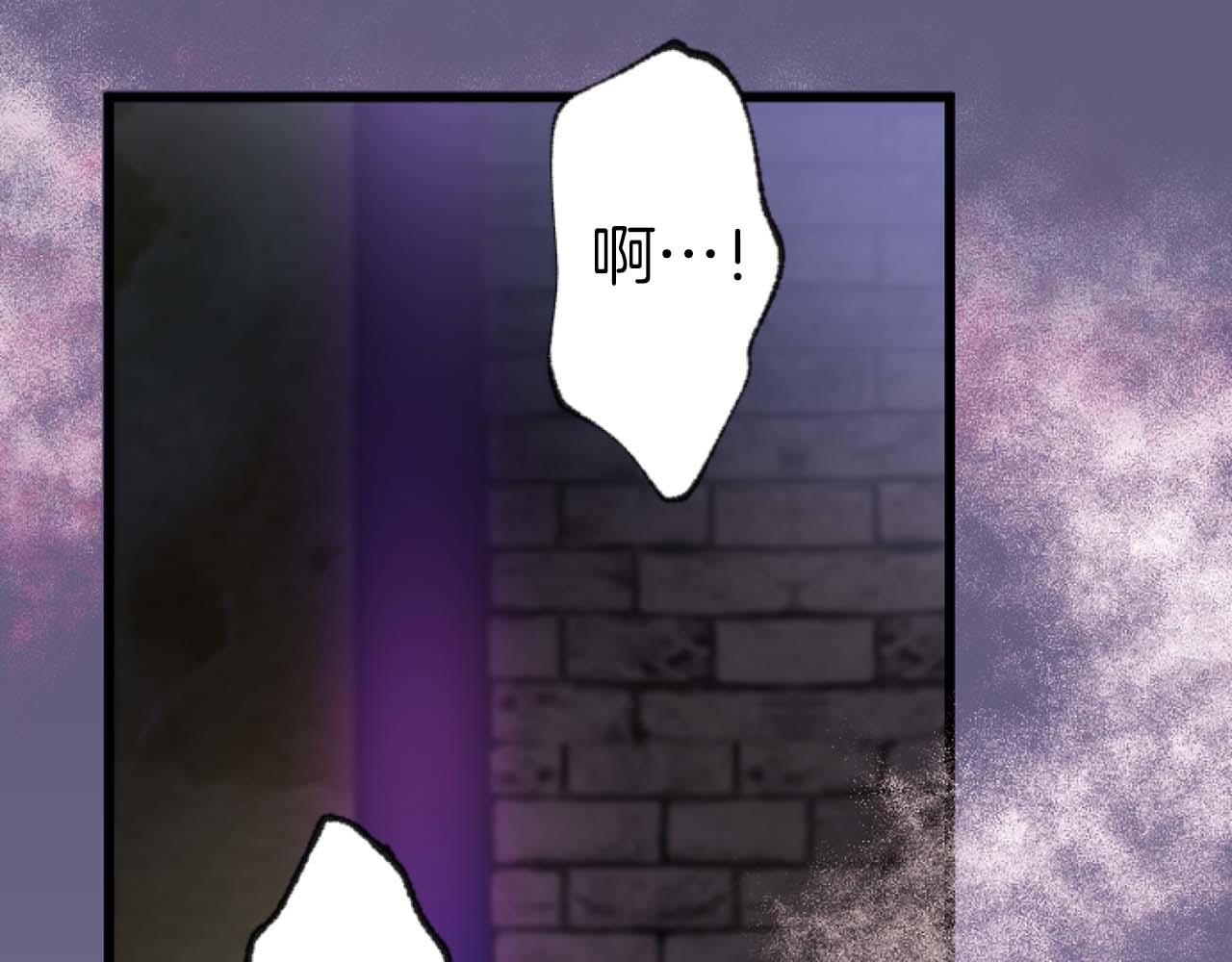 第17话 冷面公爵的未婚妻？167