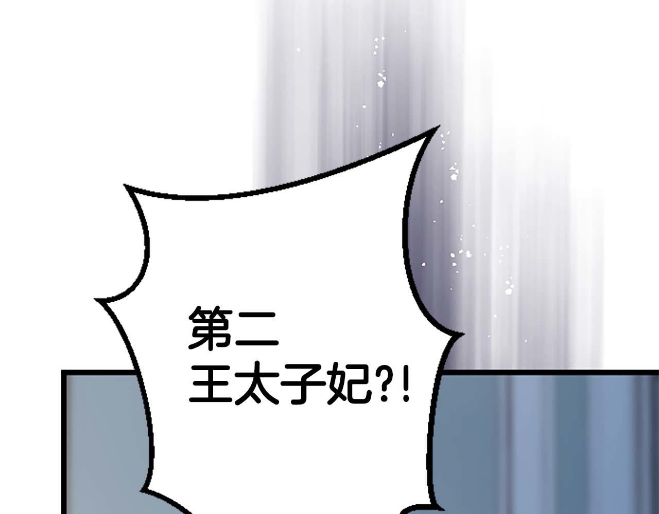 第43话 第二王太子妃69