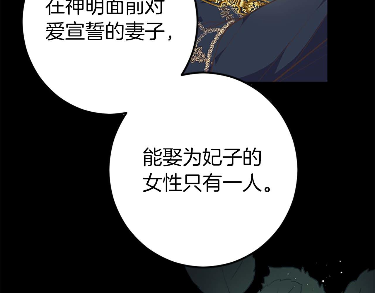 第43话 第二王太子妃76