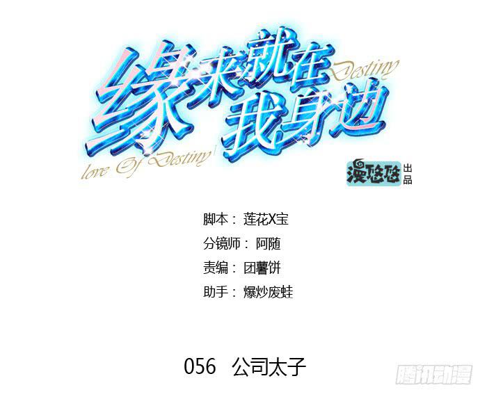 公司太子0