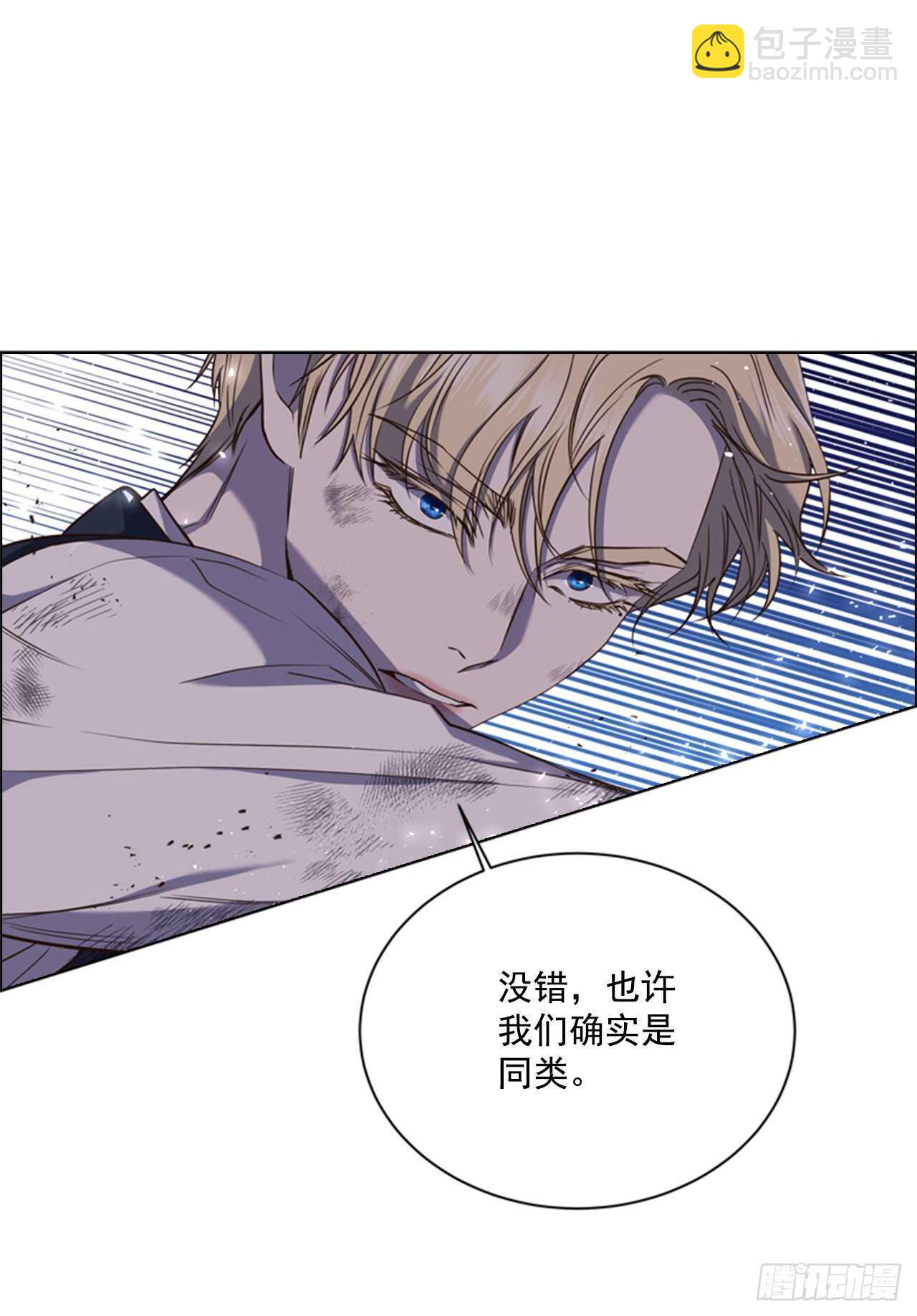 46.光之圣典18