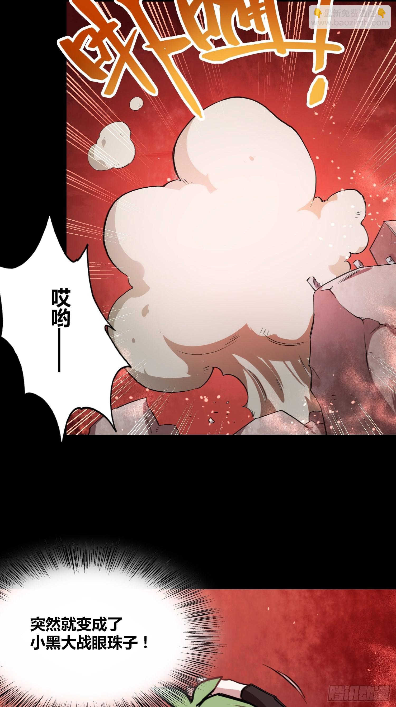 领域生物17