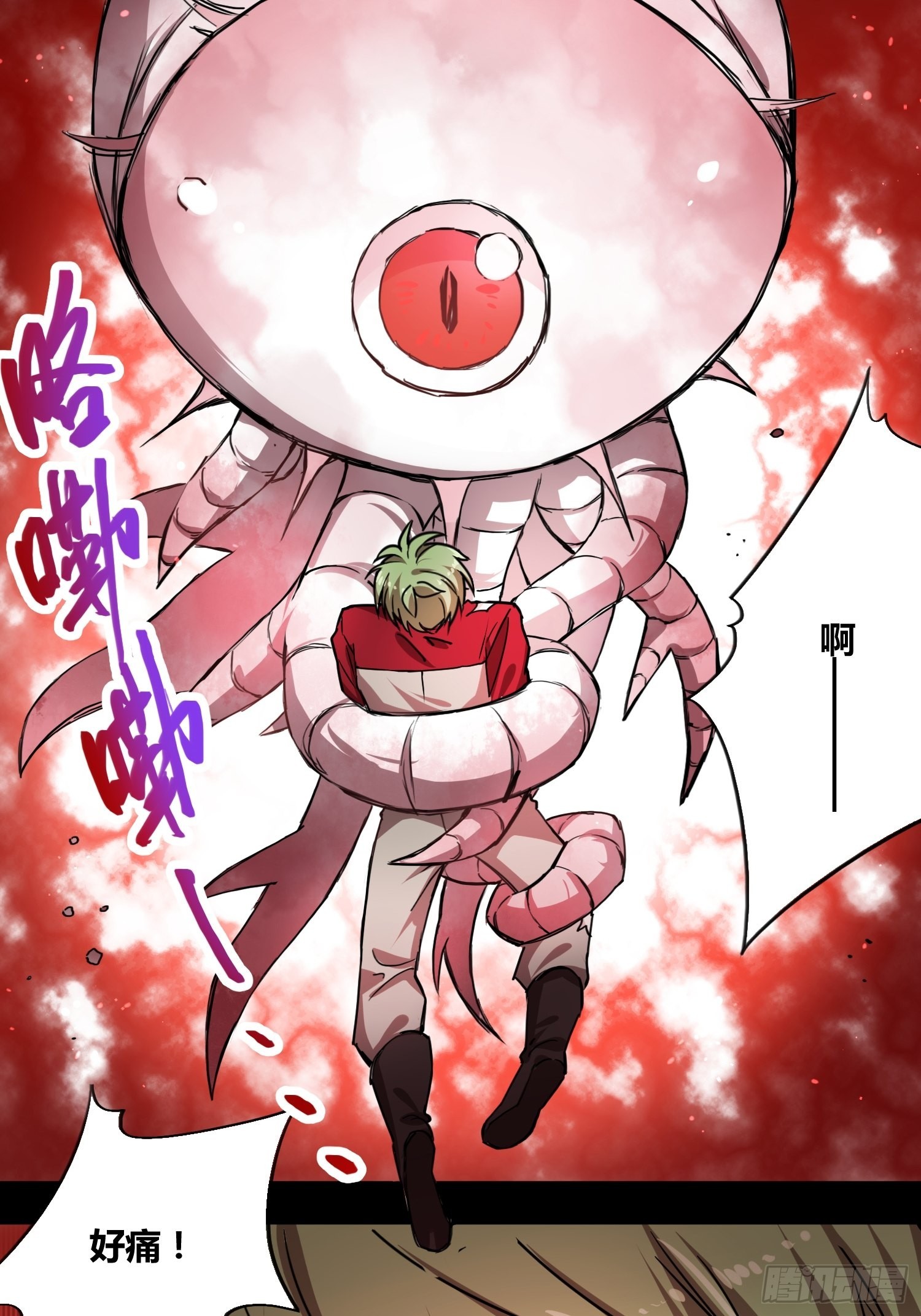 领域生物6