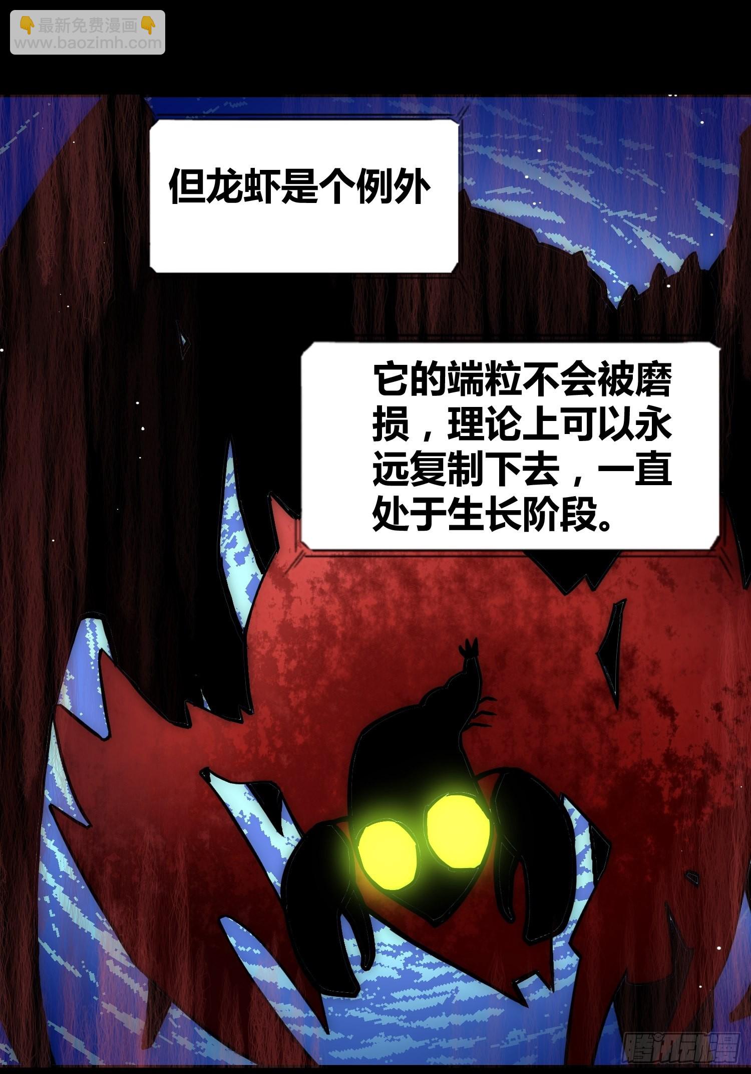 蔚薇的礼物11
