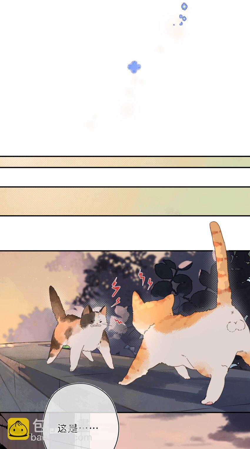 第68话 幸福的种子5