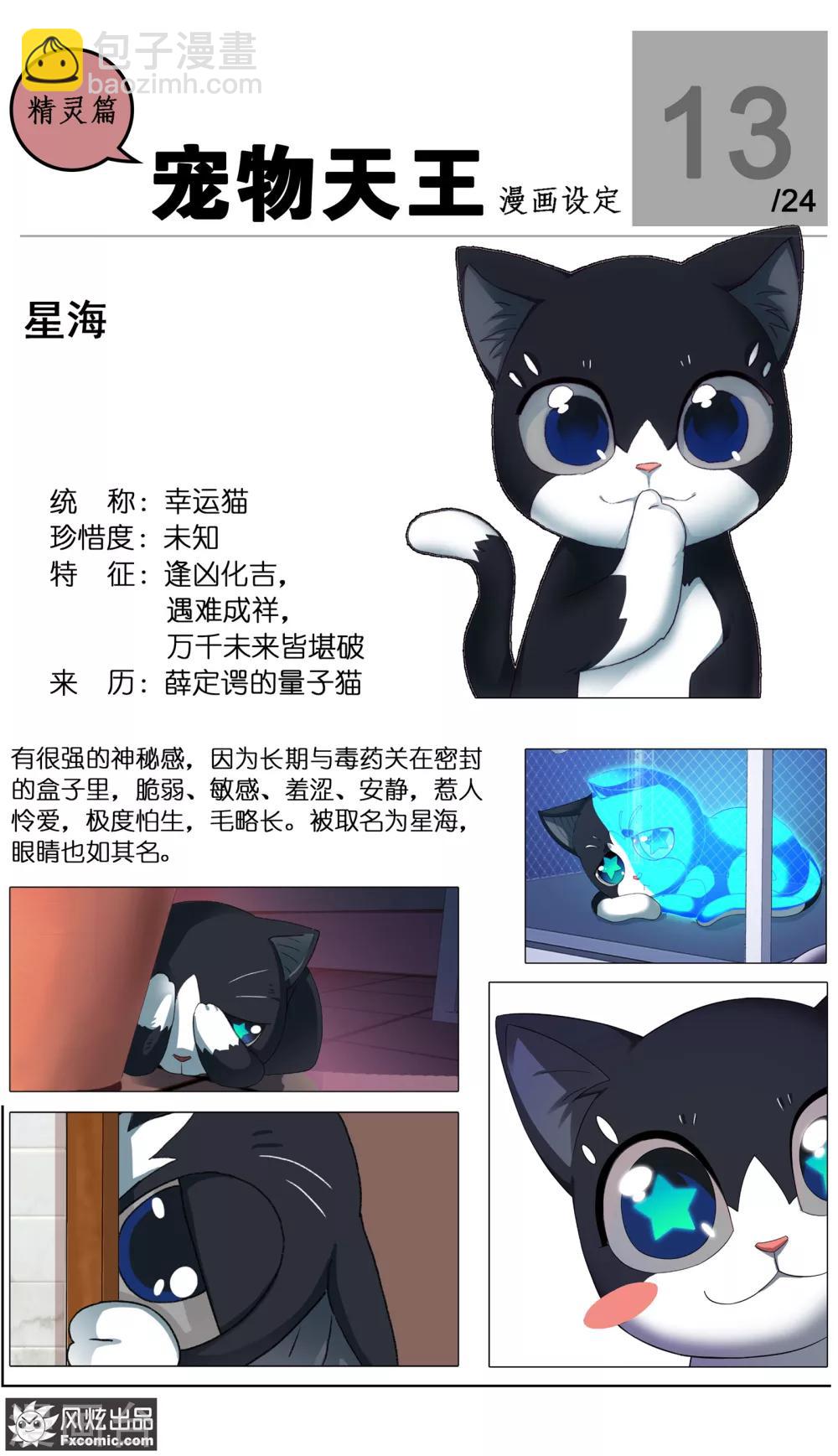 第24话3 老茶9