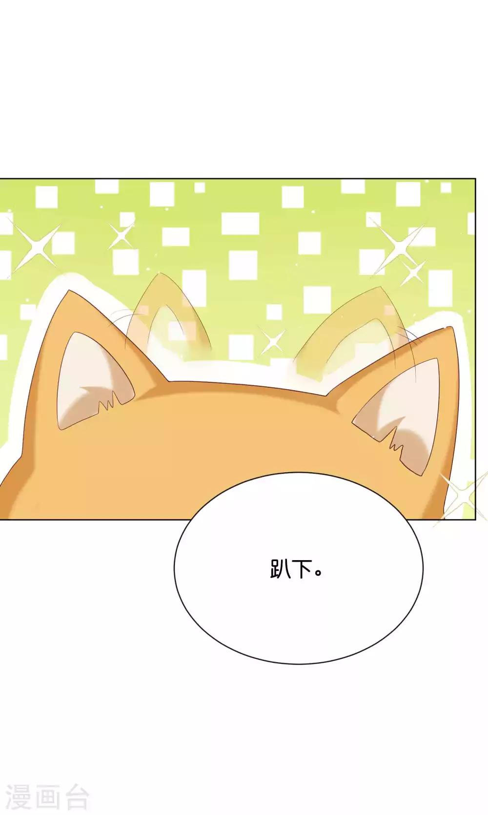 第41话 他是华丽外皮的野兽？1
