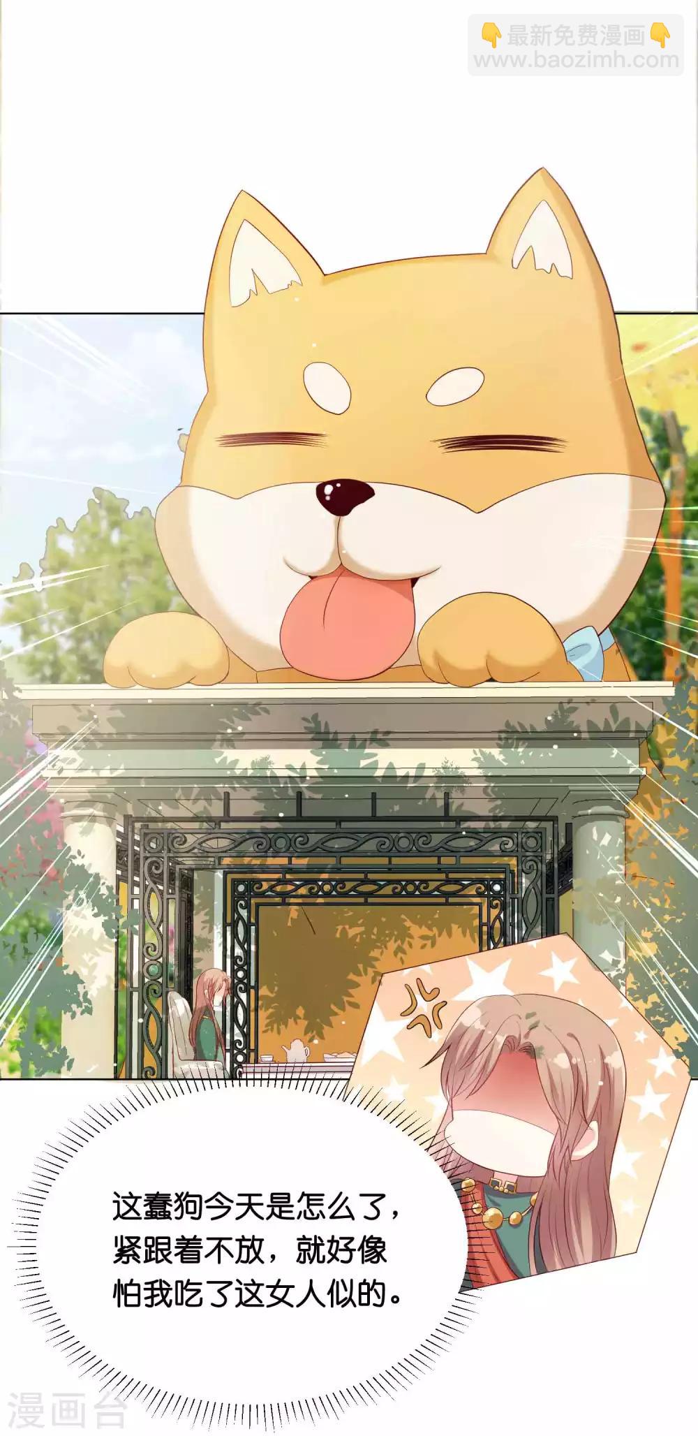 第41话 他是华丽外皮的野兽？10