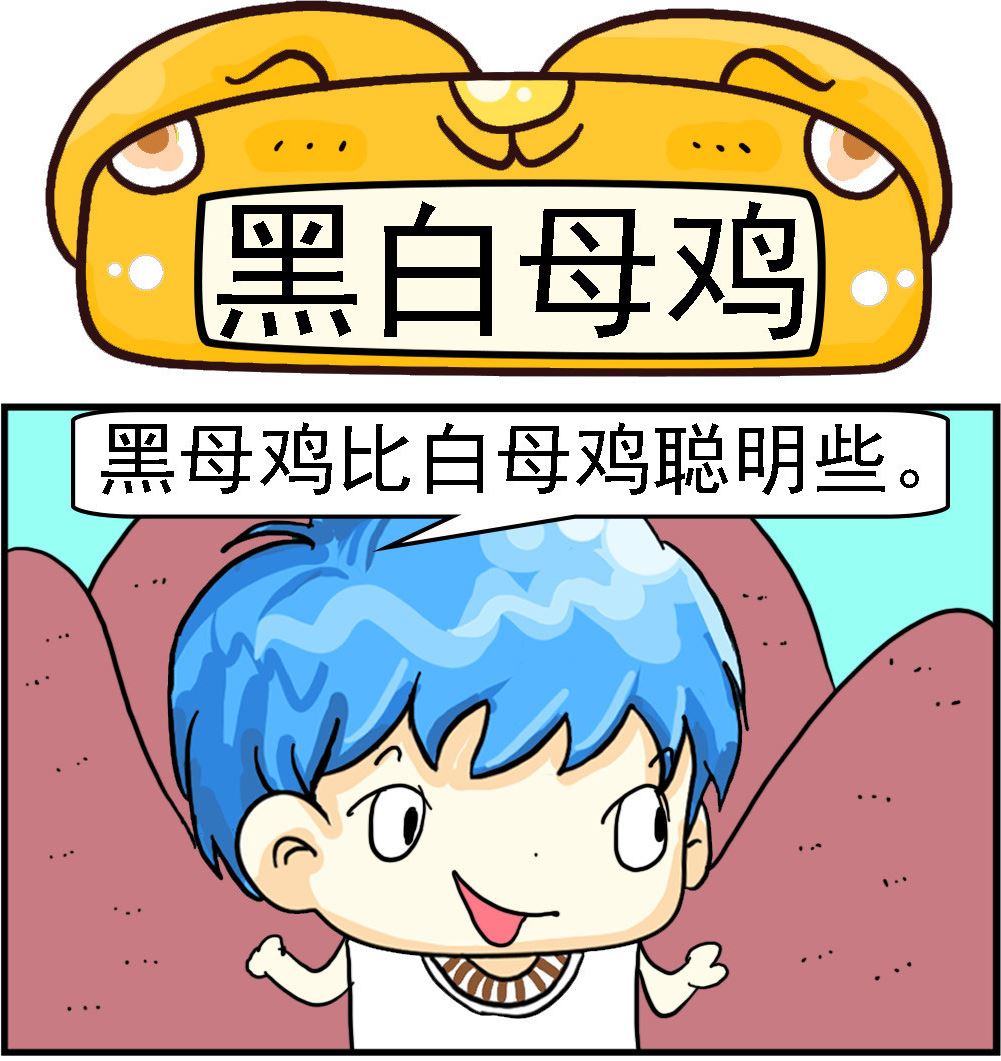 第025话 黑白母鸡0