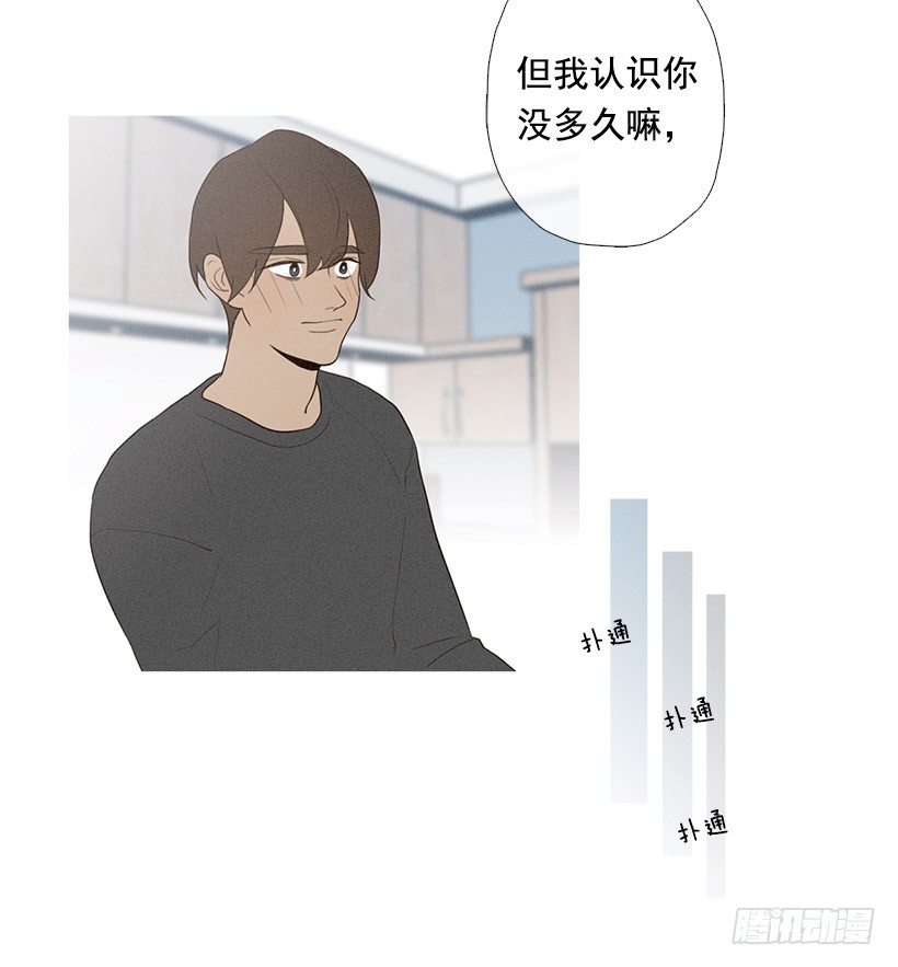 表白的回复12
