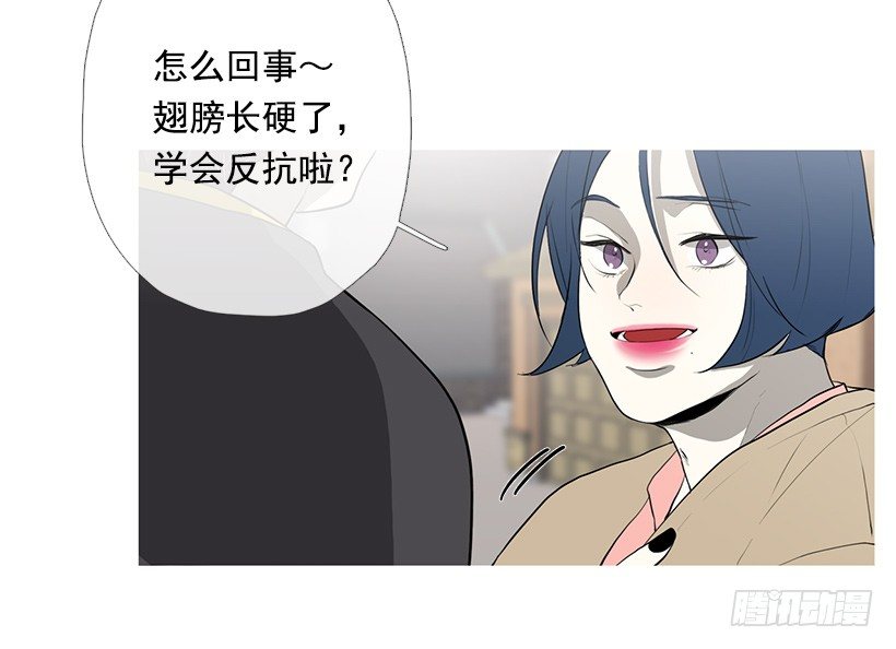 去占卜馆工作9