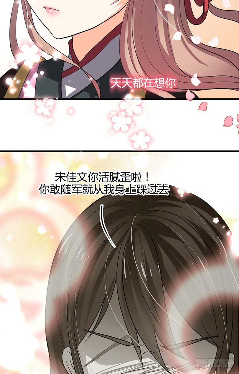 第一章 我宋佳文回来啦5
