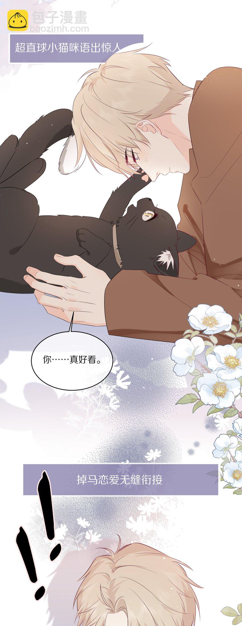 预告 一起来吸猫17