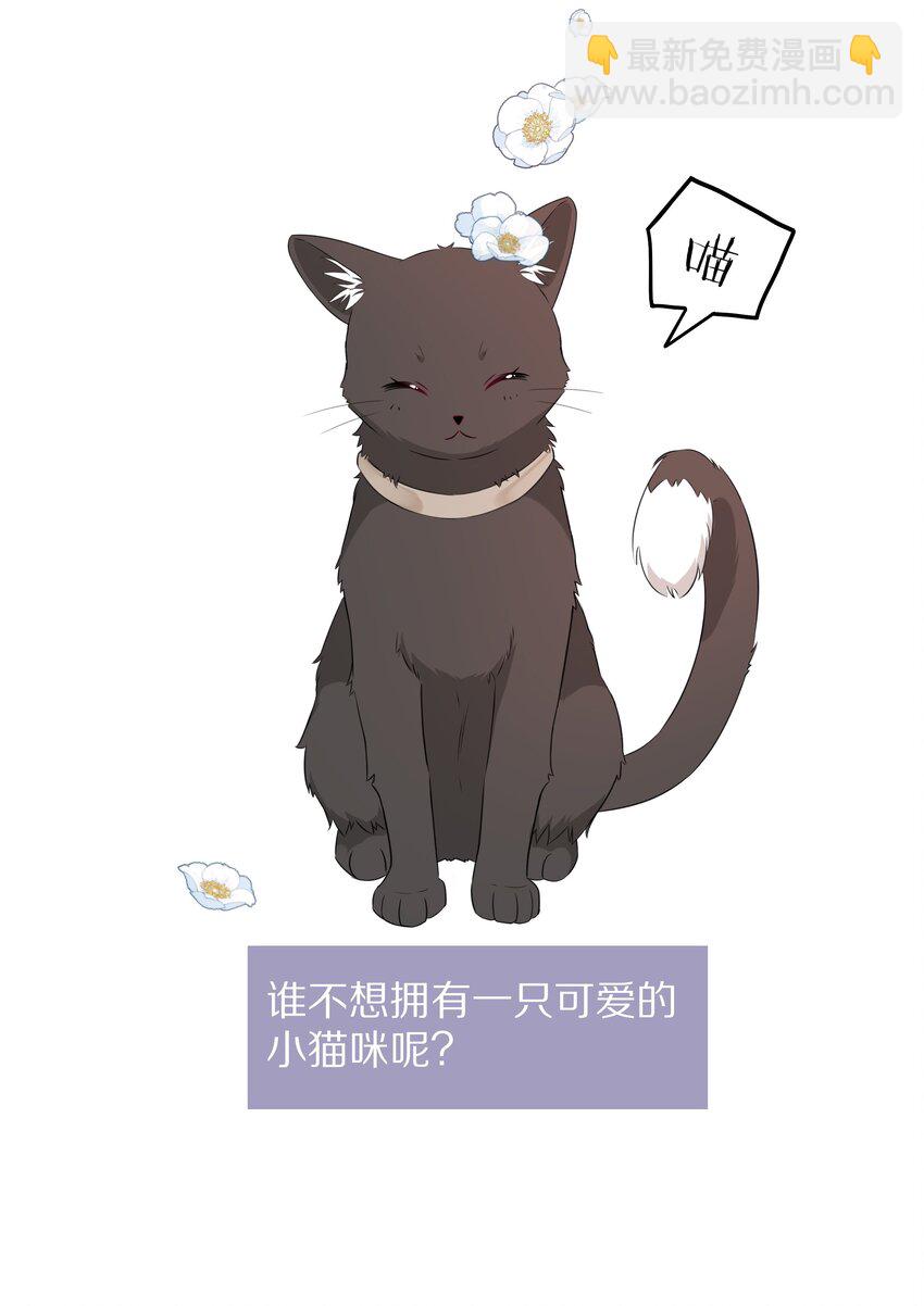 预告 一起来吸猫19