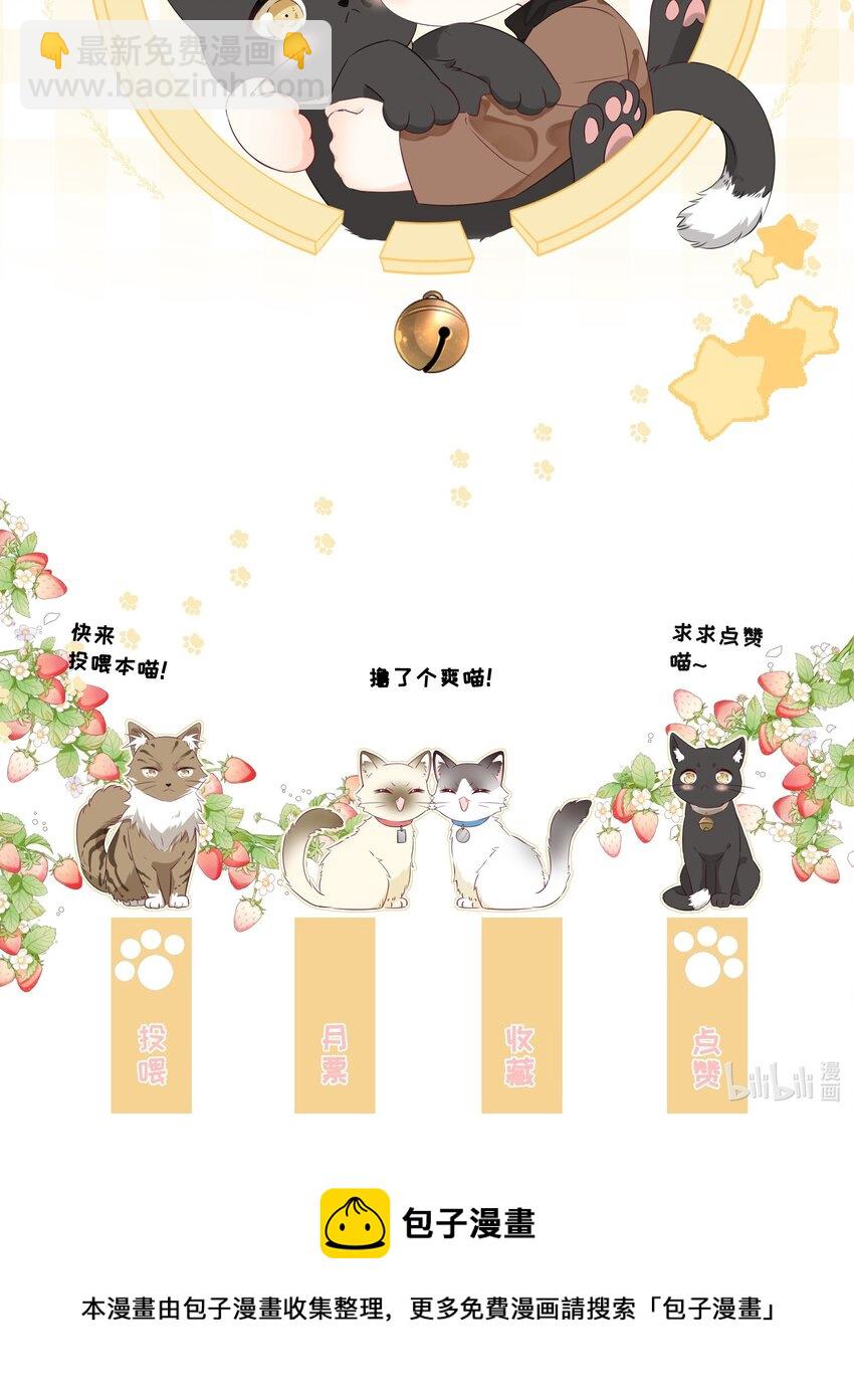 预告 一起来吸猫24