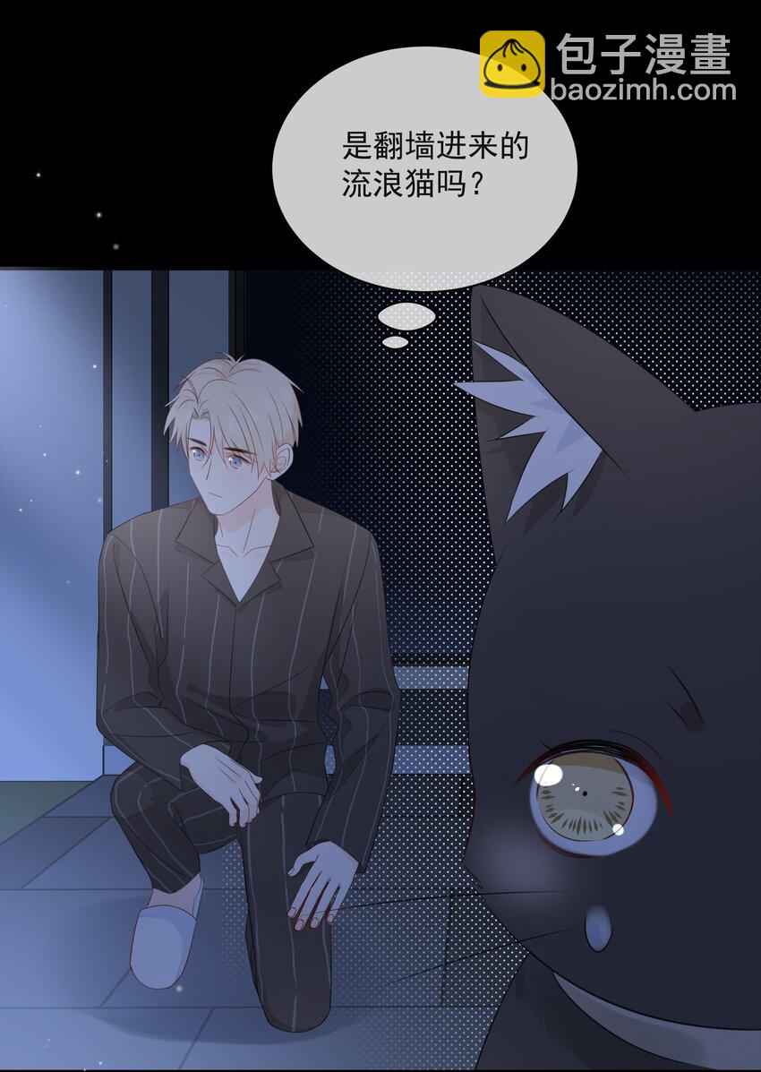 021 发现小黑猫18