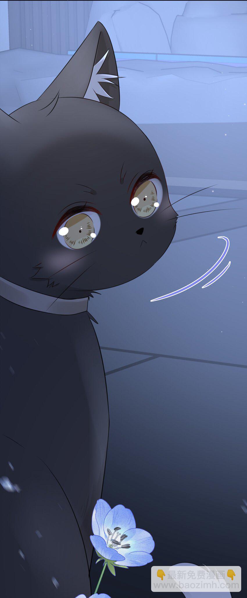 021 发现小黑猫19