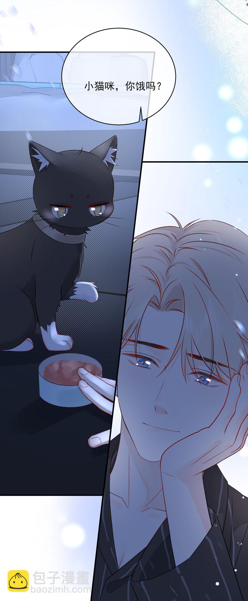 021 发现小黑猫21