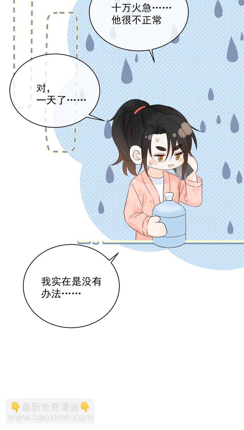 021 发现小黑猫27