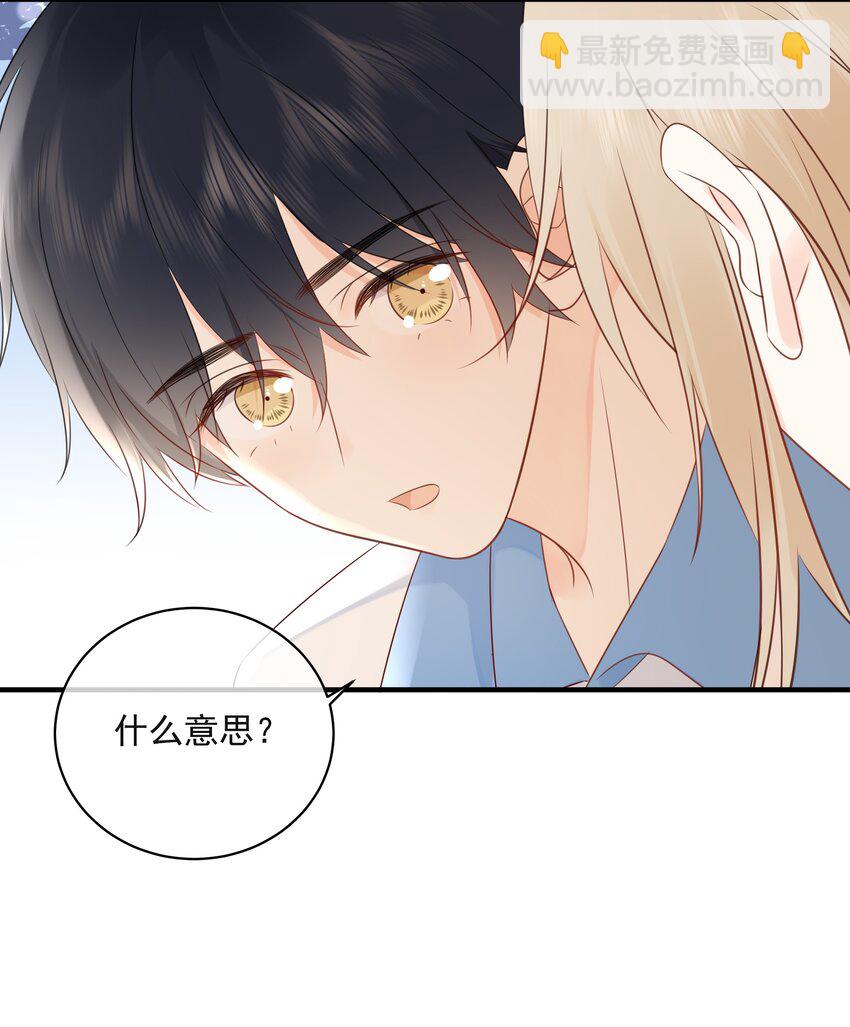 021 发现小黑猫39