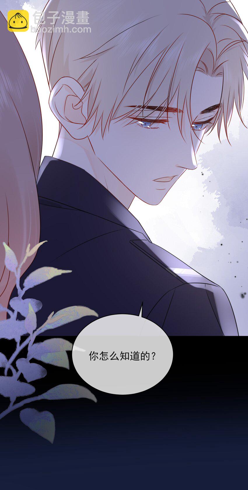 021 发现小黑猫45