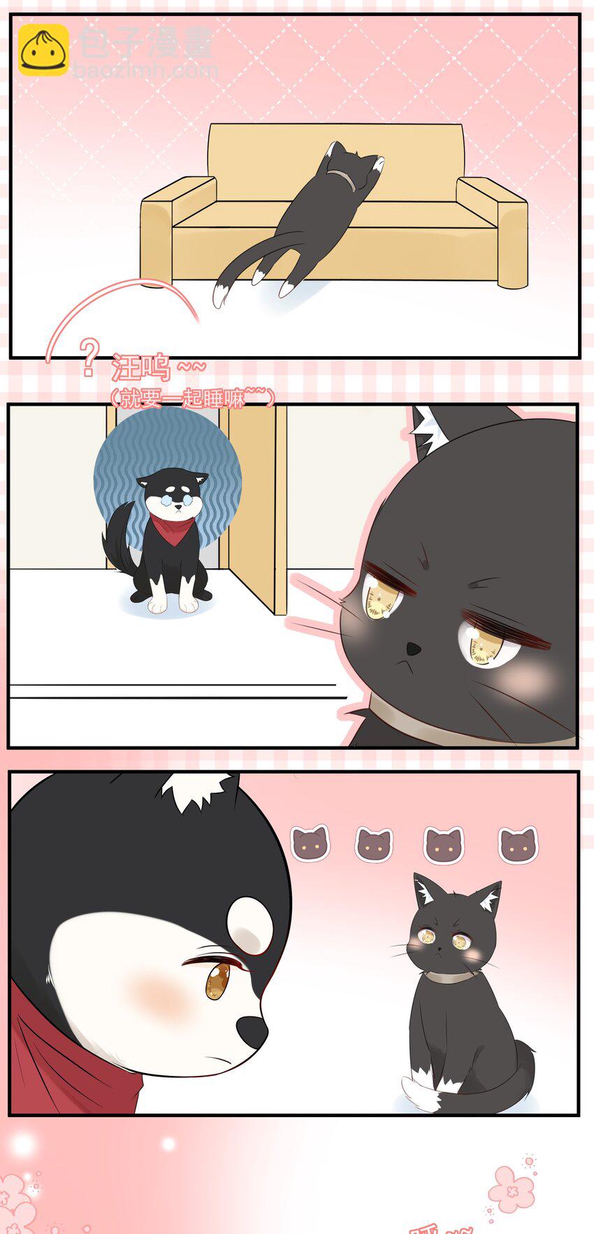 021 发现小黑猫47