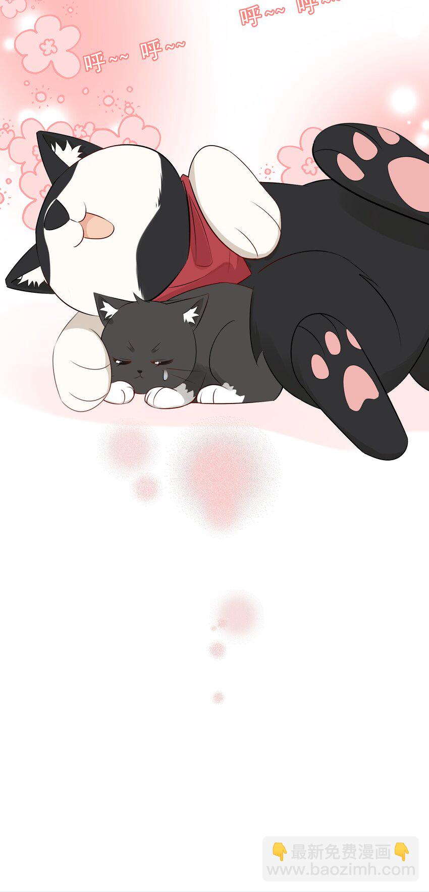 021 发现小黑猫48
