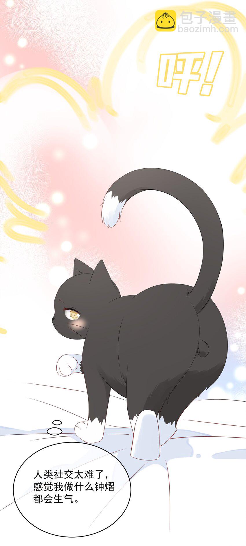 021 发现小黑猫6