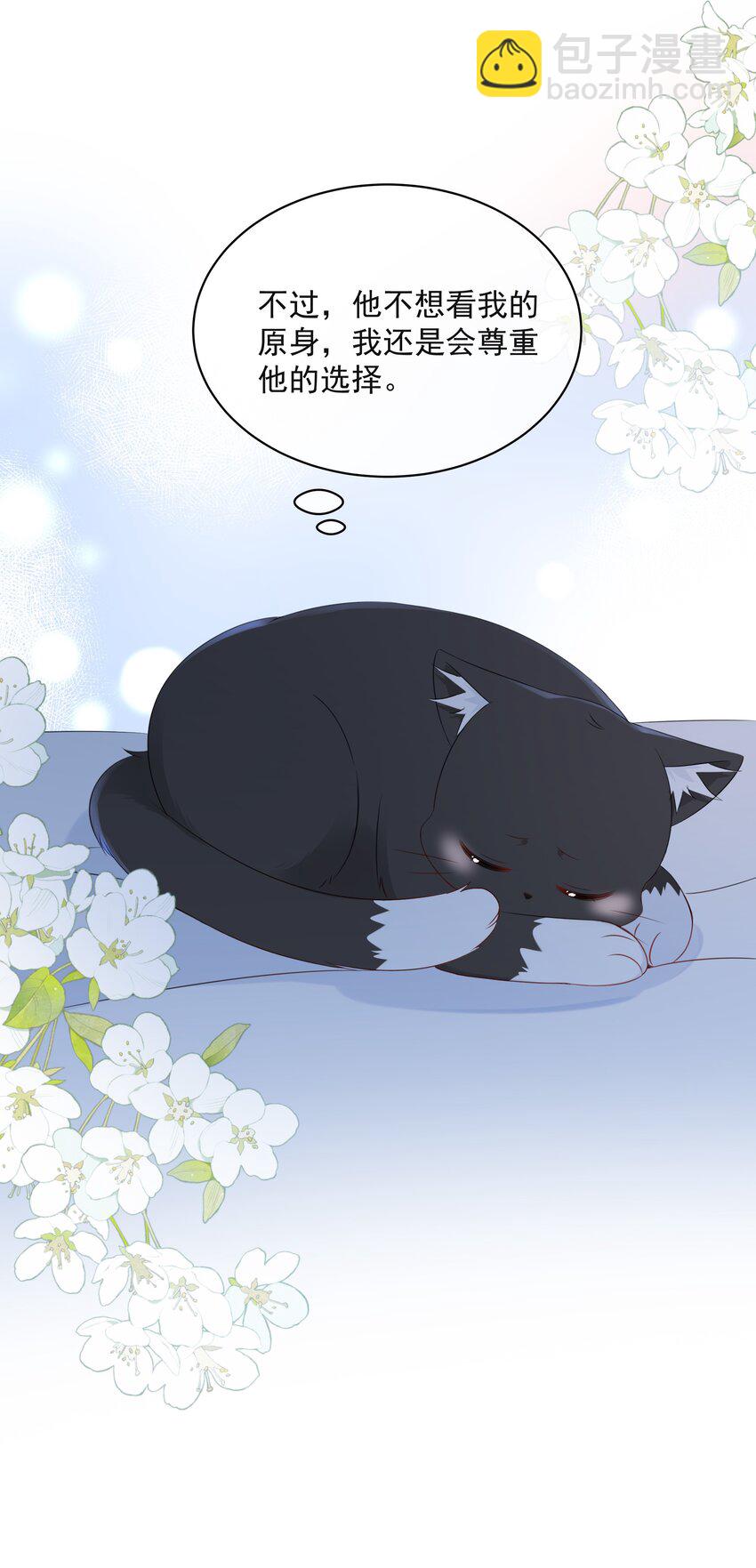 021 发现小黑猫7