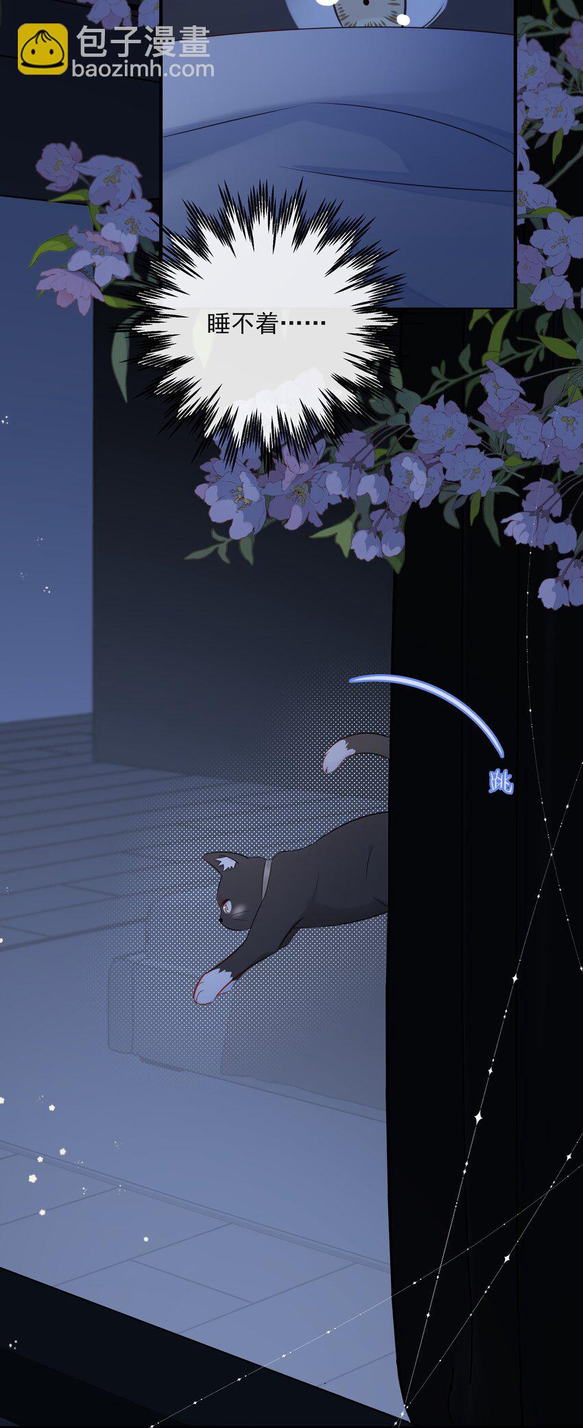 021 发现小黑猫9