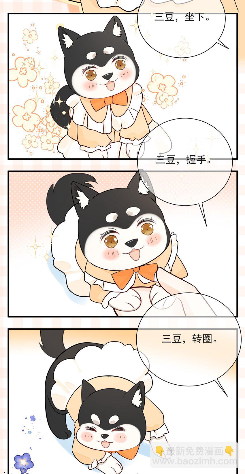 036 项链46