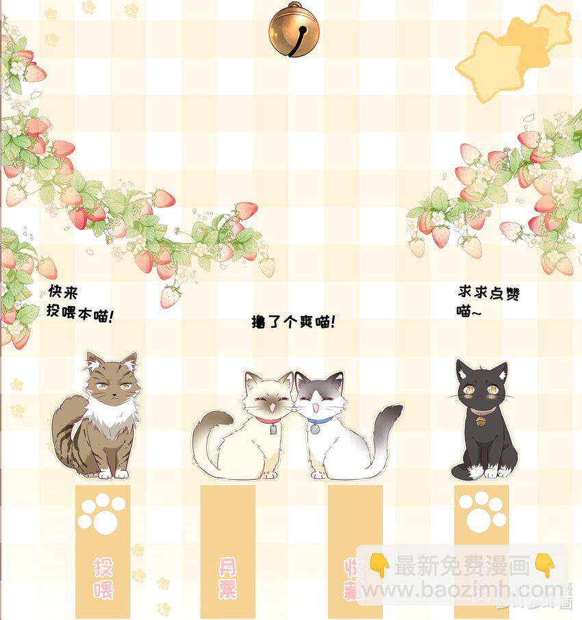 036 项链54