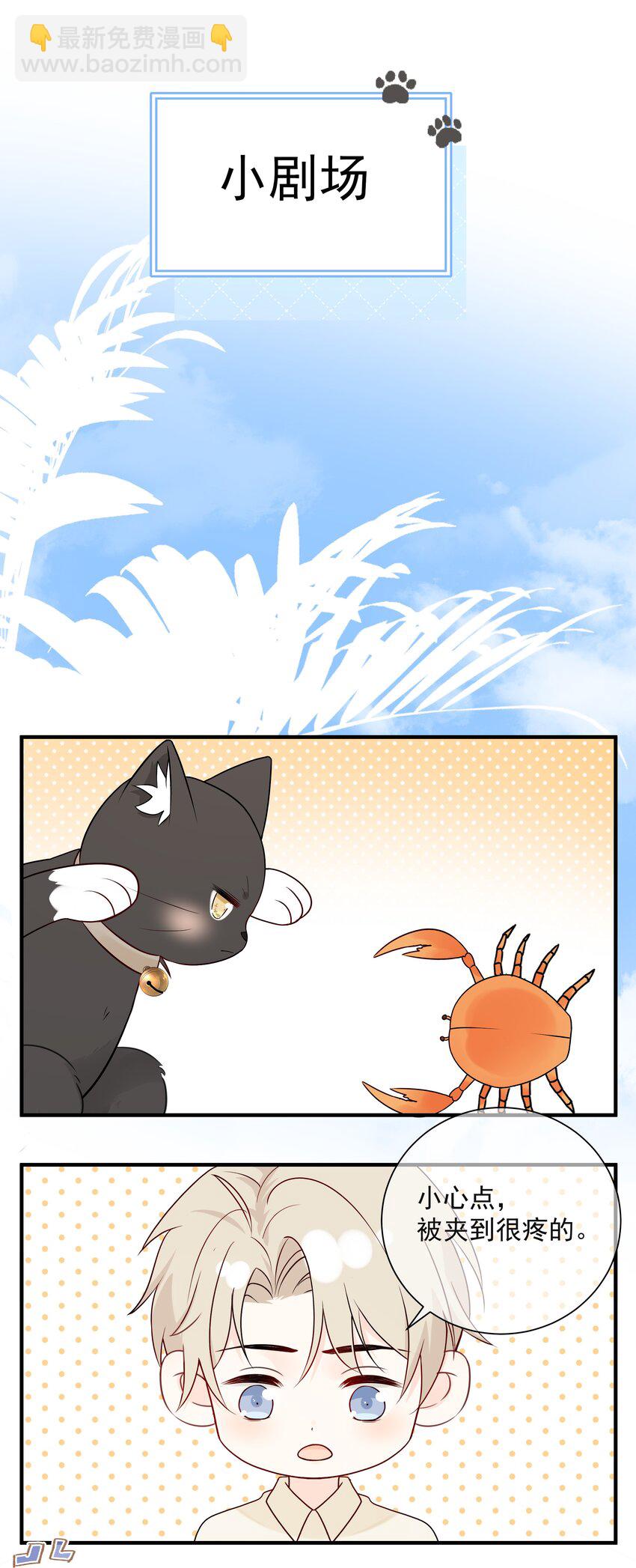 037 三豆竟然是……？！44