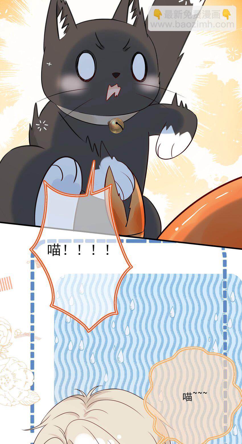 037 三豆竟然是……？！46