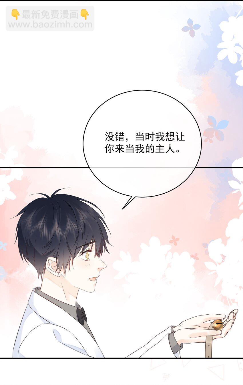 046 教你撸猫哦~3