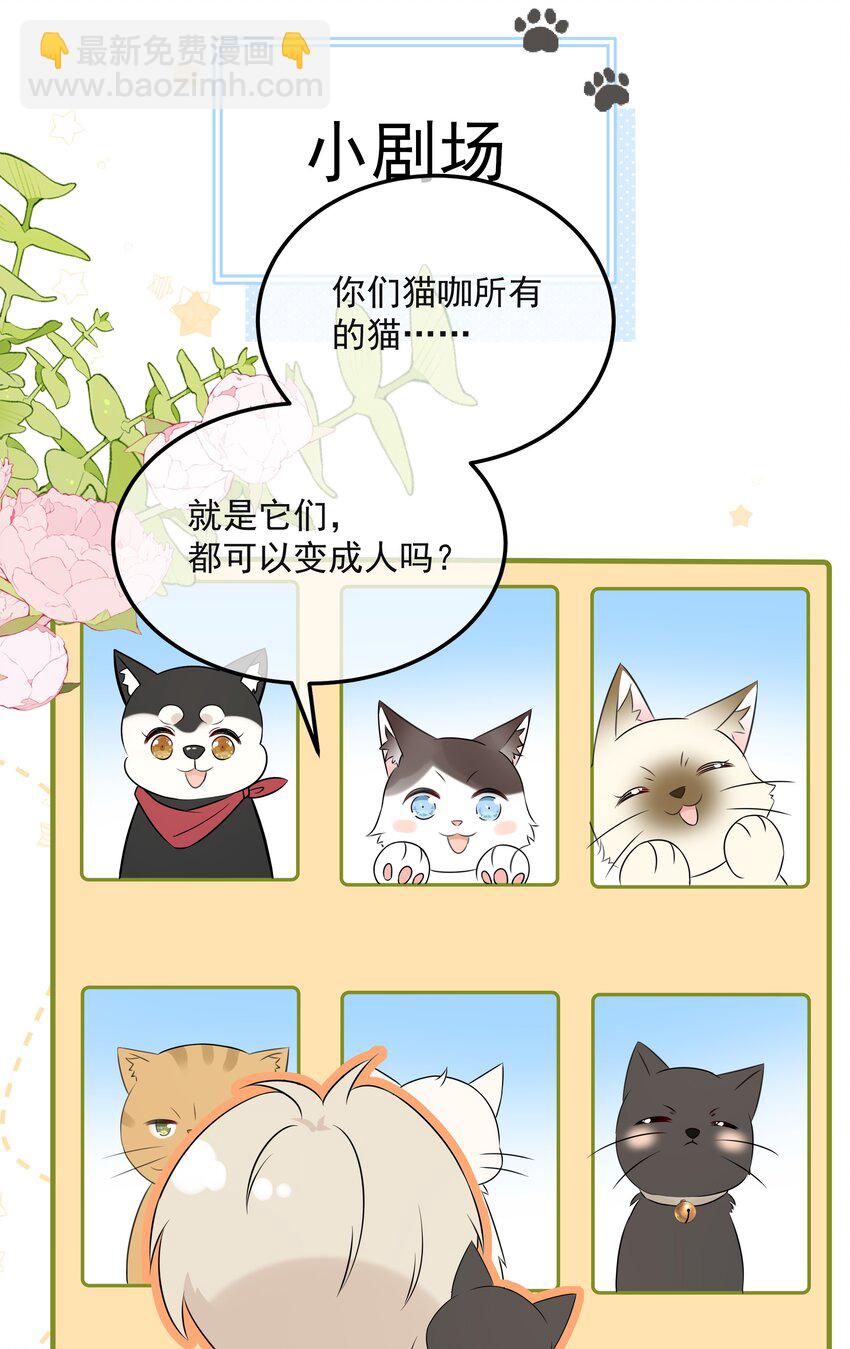 047 喜提爱的伤痕50