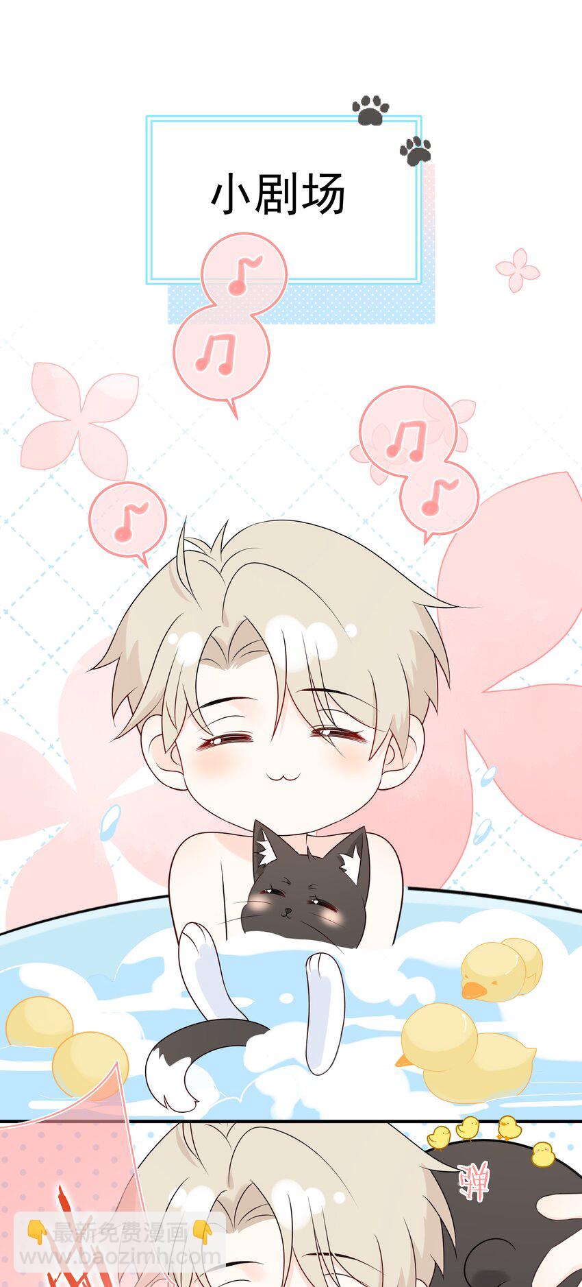054 我有猫了，也有主了43