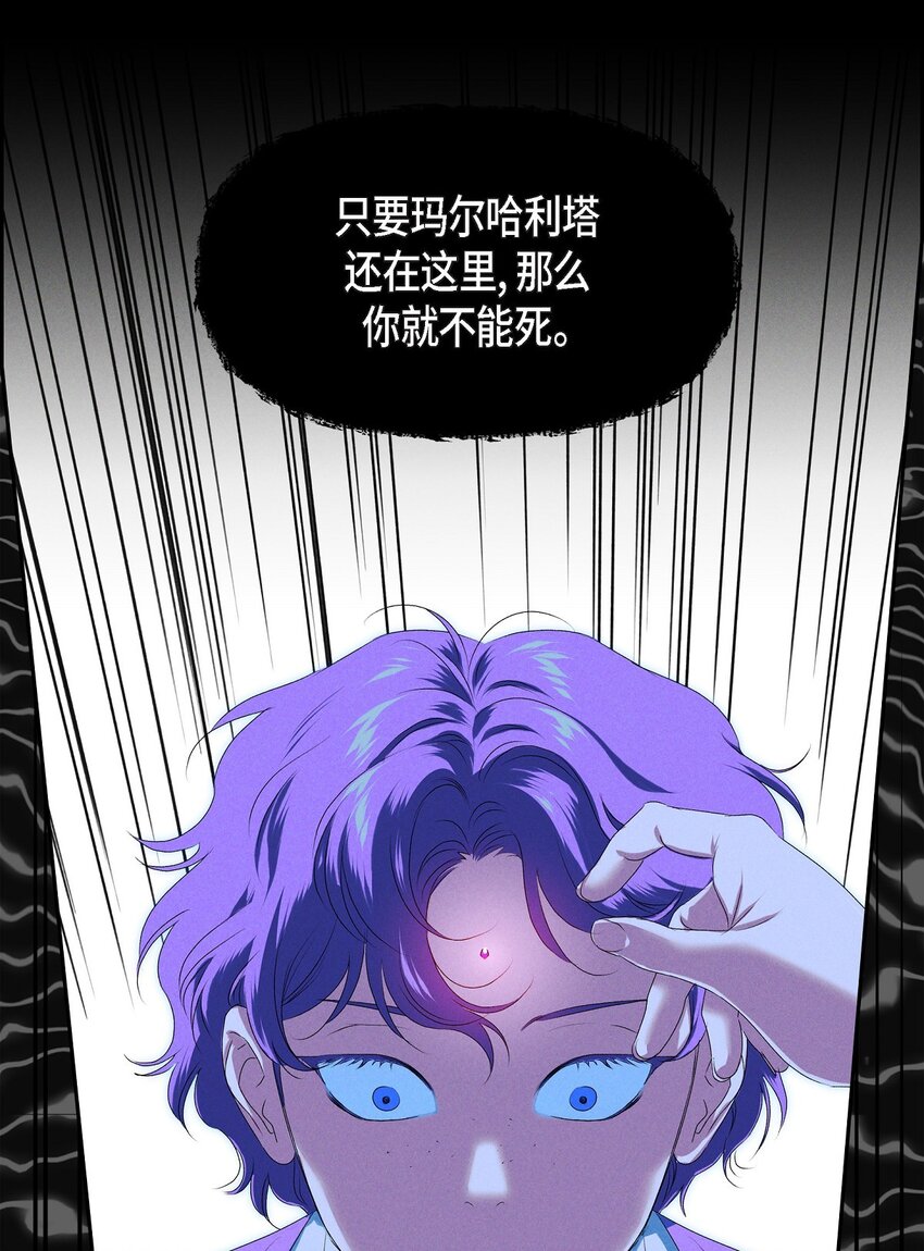 08 阿米查57