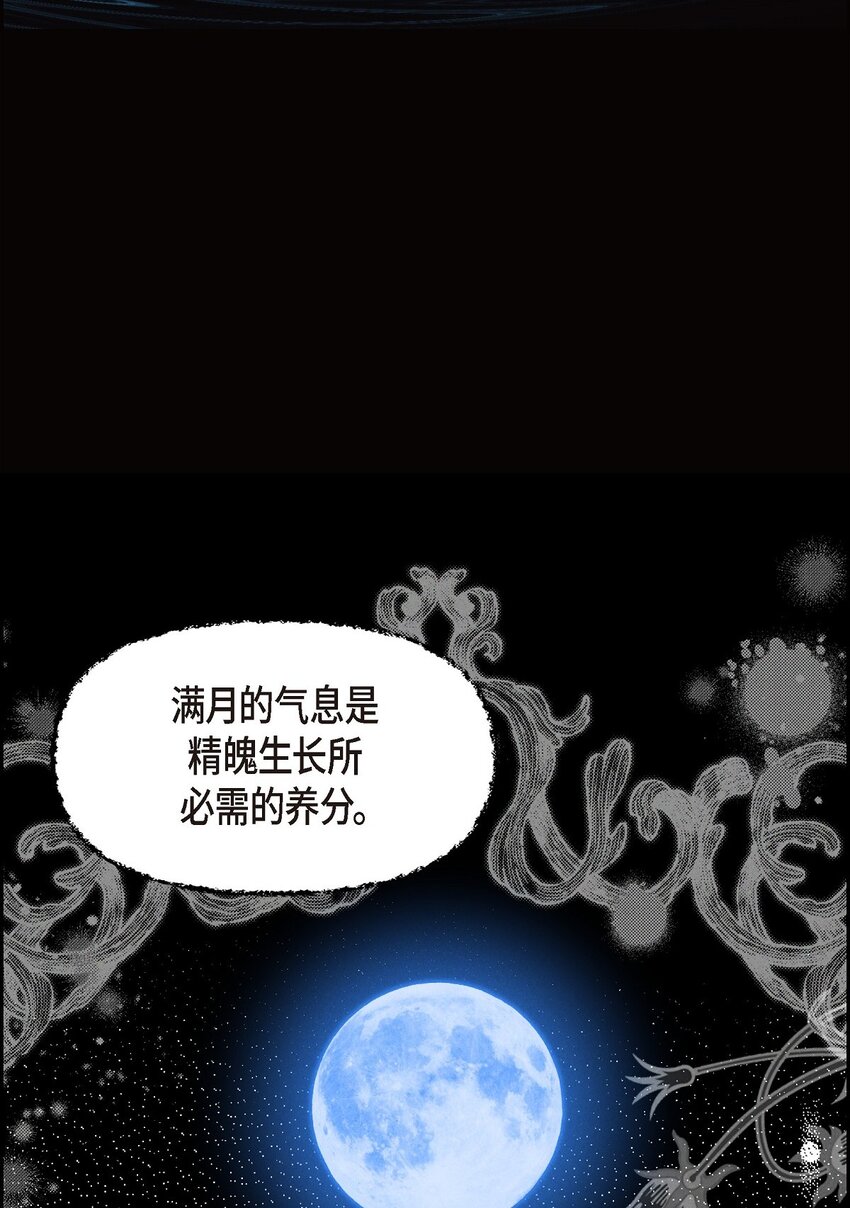 09 坤狄11