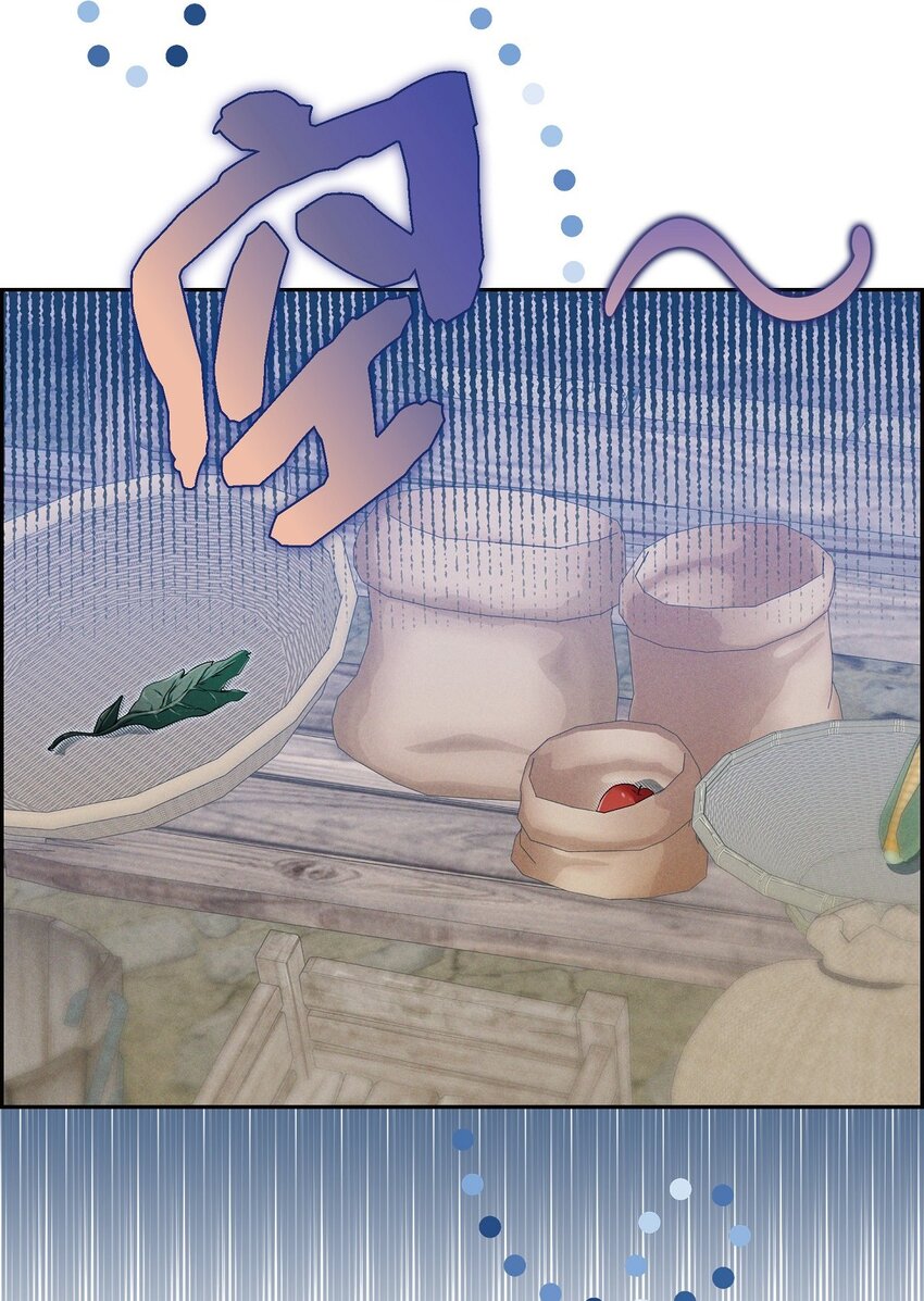13 入城12
